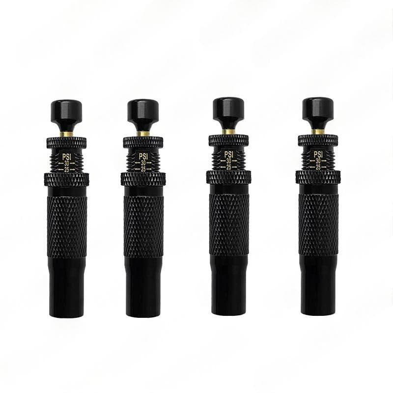 10-30 PSI Adjustable Tire Deflator Kit - Portable Tire Pressure Tool