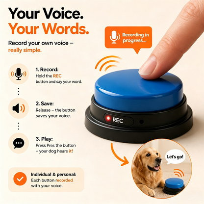 Dog Communication Buttons Training 2026