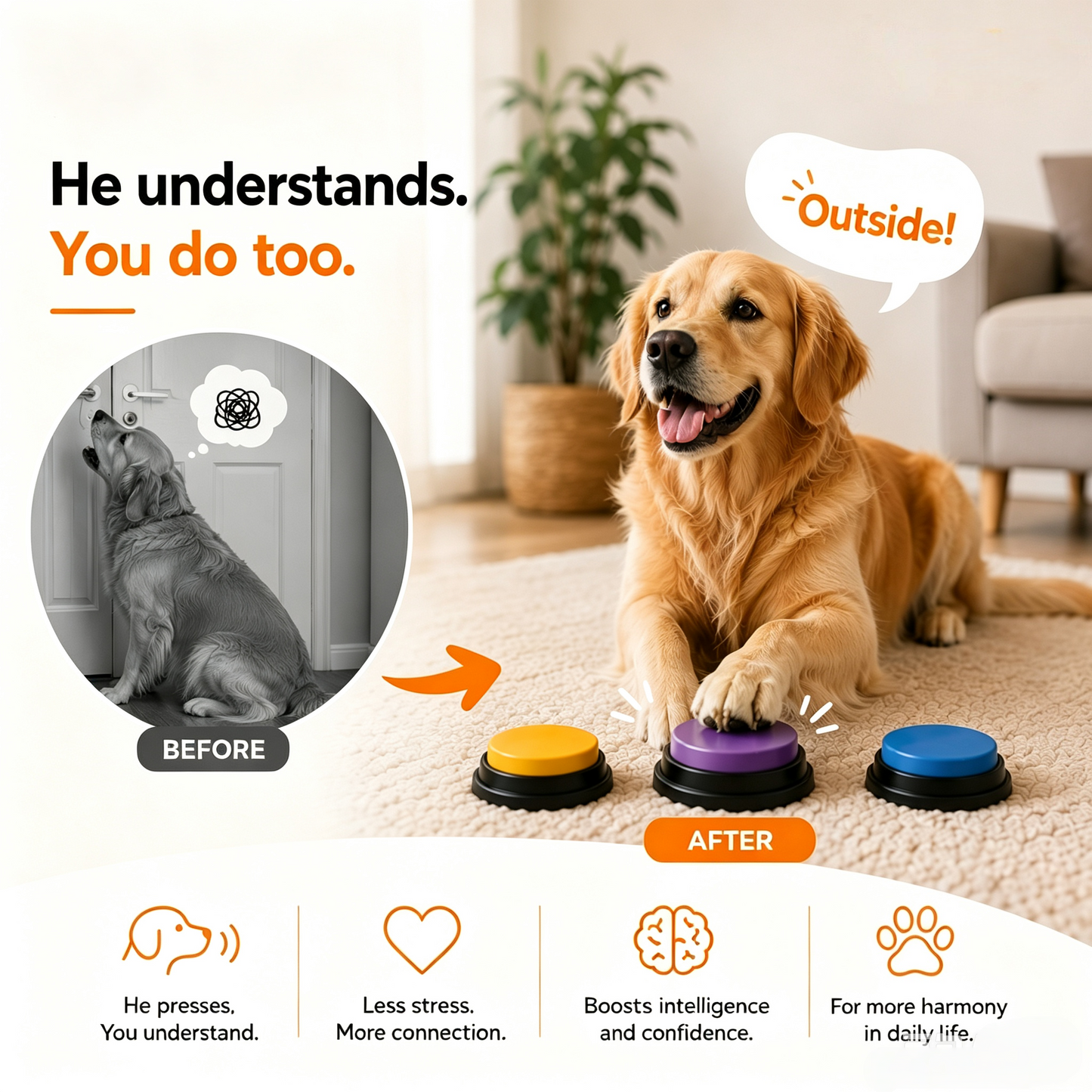 Dog Communication Buttons Training 2026