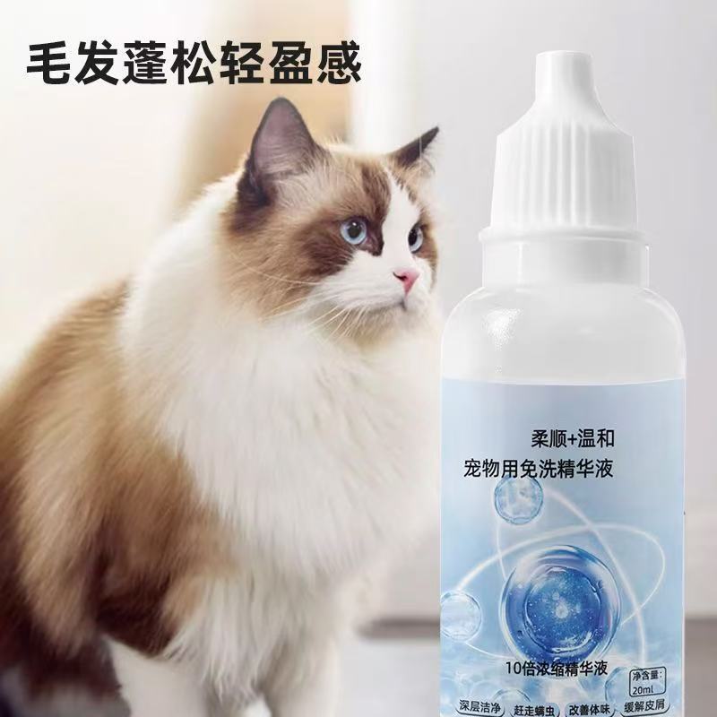 Transform Regular Pet Grooming Into a Premium Spa Day for Your Pet
