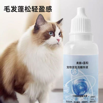 Transform Regular Pet Grooming Into a Premium Spa Day for Your Pet