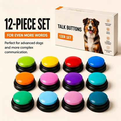 Dog Communication Buttons Training 2026